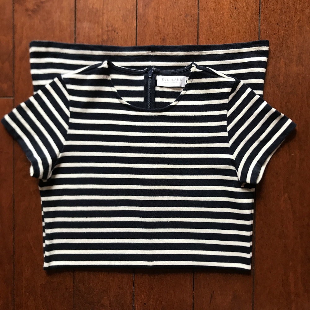 Everlane Navy Striped Dress